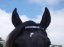 Personalised Browband with Chrome Letters